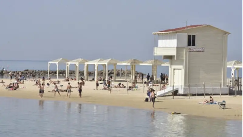 No description available