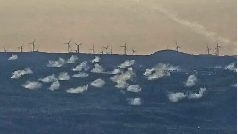 No description available