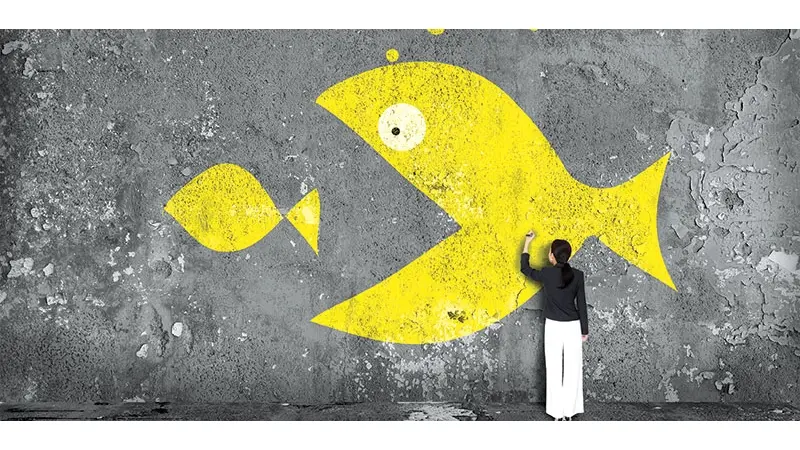 No description available