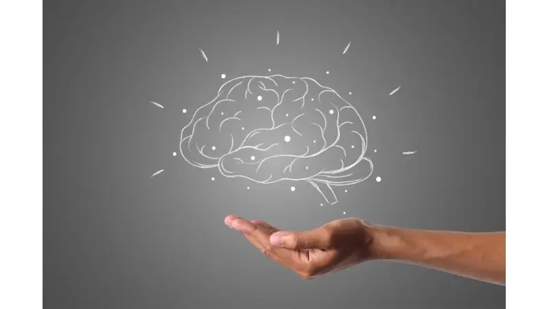 No description available