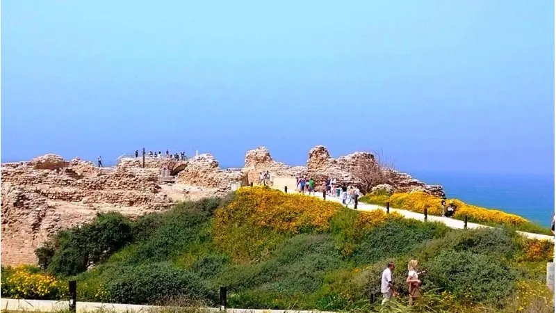 "לגעת בזמן", פעילות שימור בציפורי. צילום חגי דביר, רט"ג