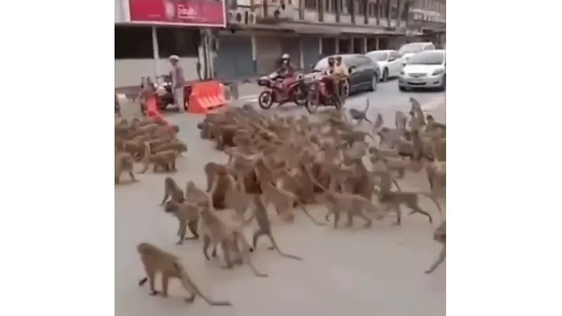 No description available