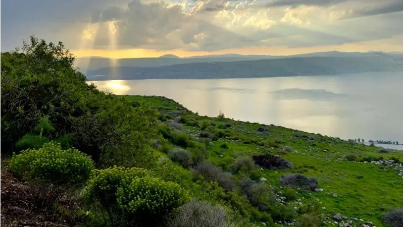 מראה פסטורלי בגולן. צילום ראם רייזנר