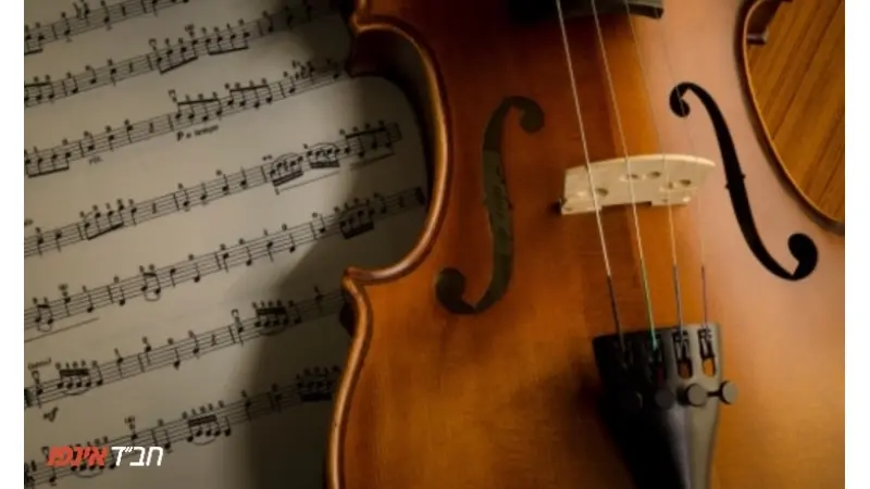 No description available