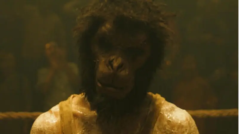 No description available