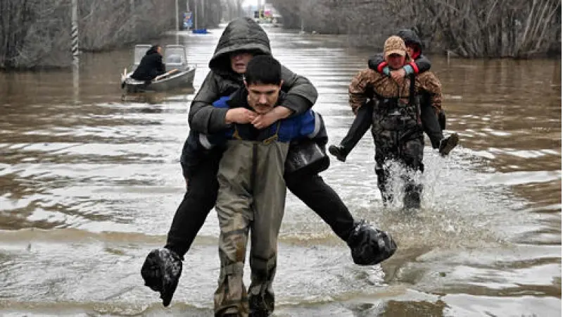 No description available