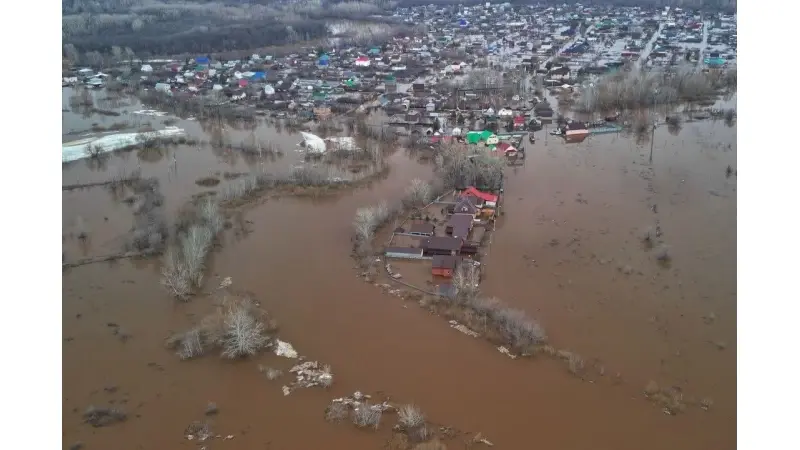 No description available