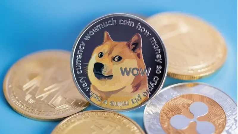 דוג'קוין (צילום shutterstock)