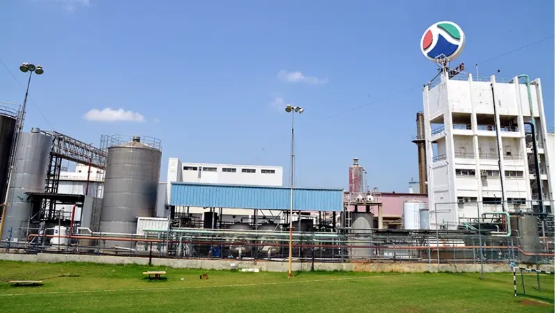 תנובה (צילום פלאש 90/ יוסי זליגר)