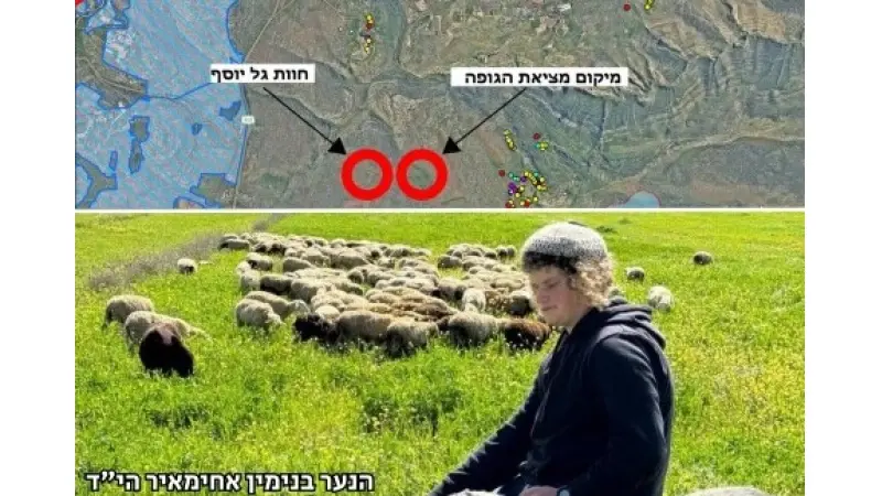 No description available