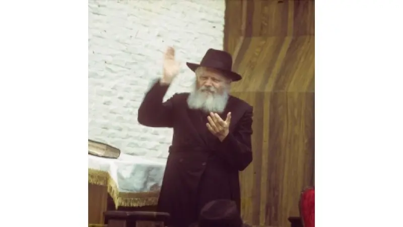 No description available