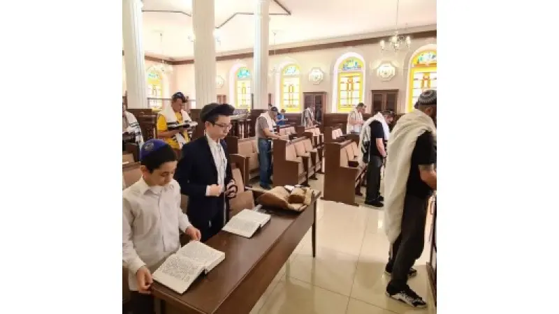 No description available