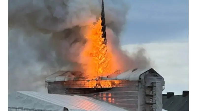 מאסטר שףאתר התכניתלפרקים המלאים