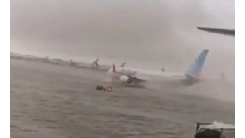 מאסטר שףאתר התכניתלפרקים המלאים