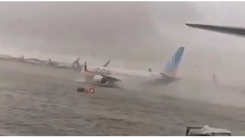 No description available