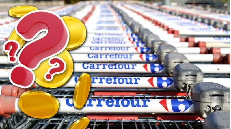 רשת קרפור (צילום shutterstock, vecteezy)