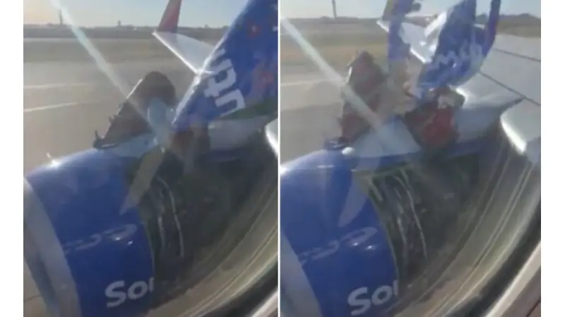 מאסטר שףאתר התכניתלפרקים המלאים