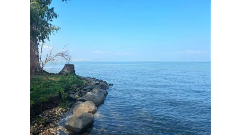 No description available