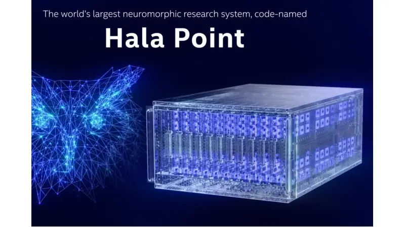 ×ער×ת ×-Hala Point (××§×ר ××× ××)