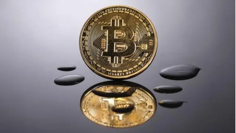 No description available