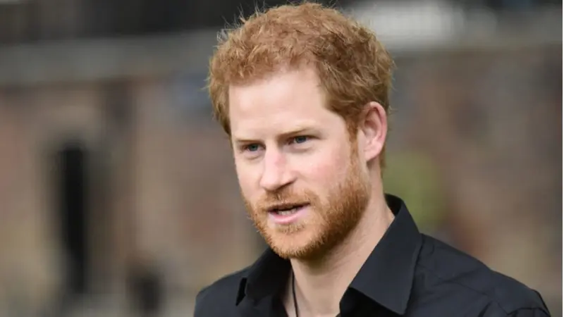 הנסיך הארי (צילום shutterstock)