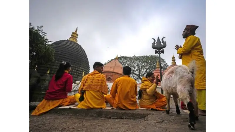 No description available