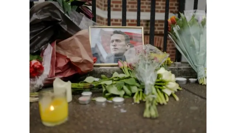 No description available