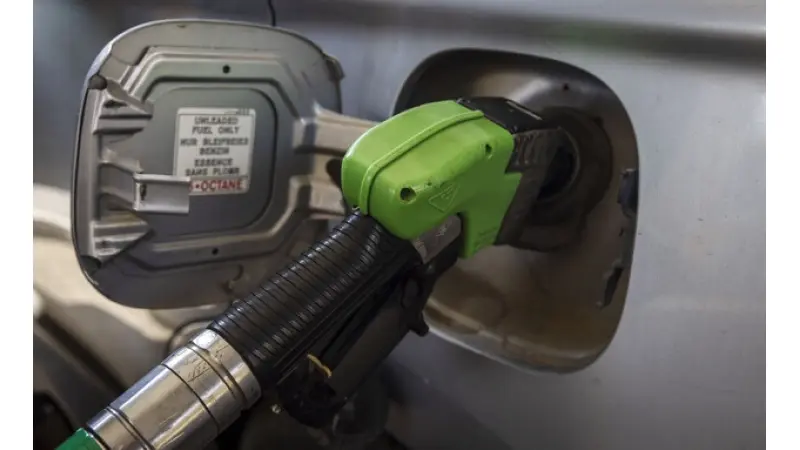 צילום: אוליביה פיטוסי , פלאש 90