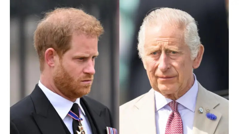 מאסטר שףאתר התכניתלפרקים המלאים