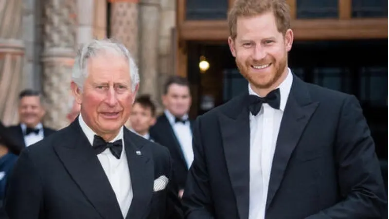 No description available