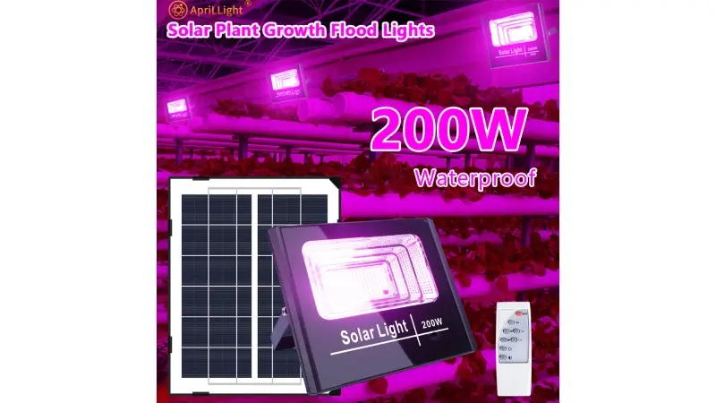  מבצעים באלי אקספרס 