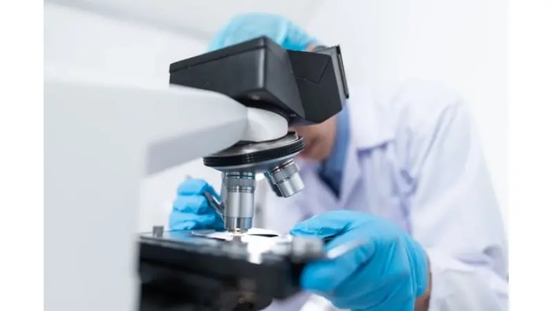 No description available