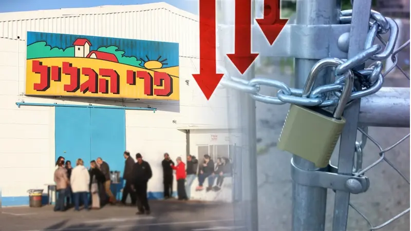 מפעל פרי הגליל (צילום shutterstock, פלאש 90)