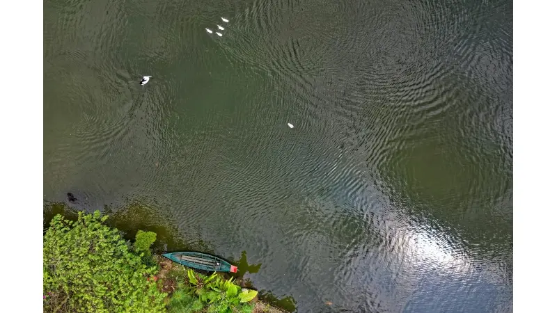 thumbnail_description