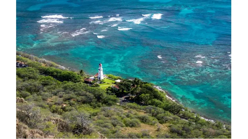 thumbnail_description