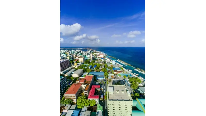 thumbnail_description