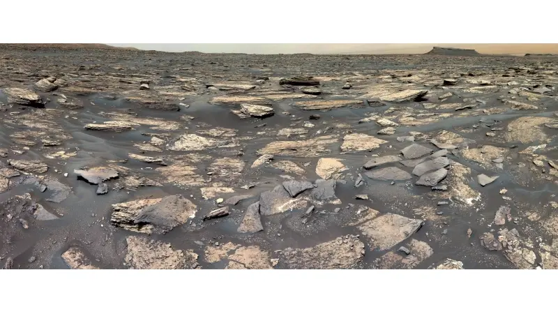 No description available