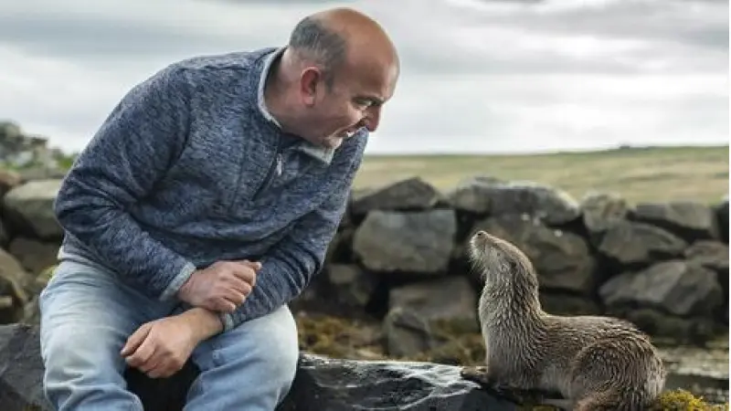 No description available