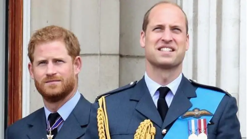 No description available