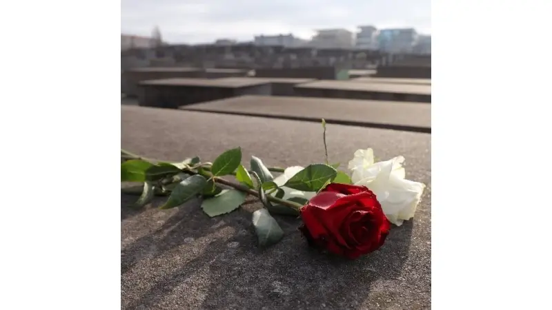 No description available