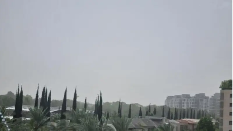 No description available