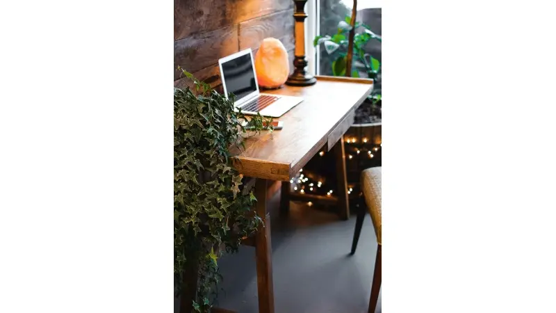 thumbnail_description