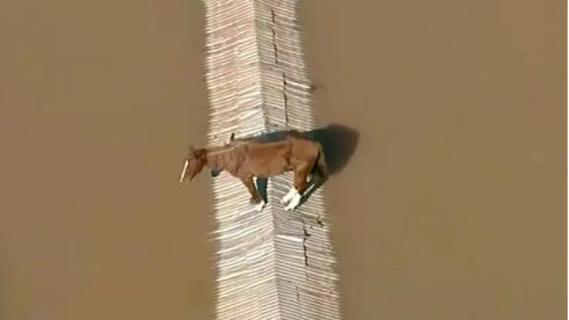 No description available