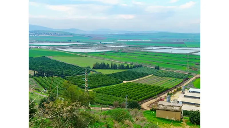 קרדיט: depositphotos