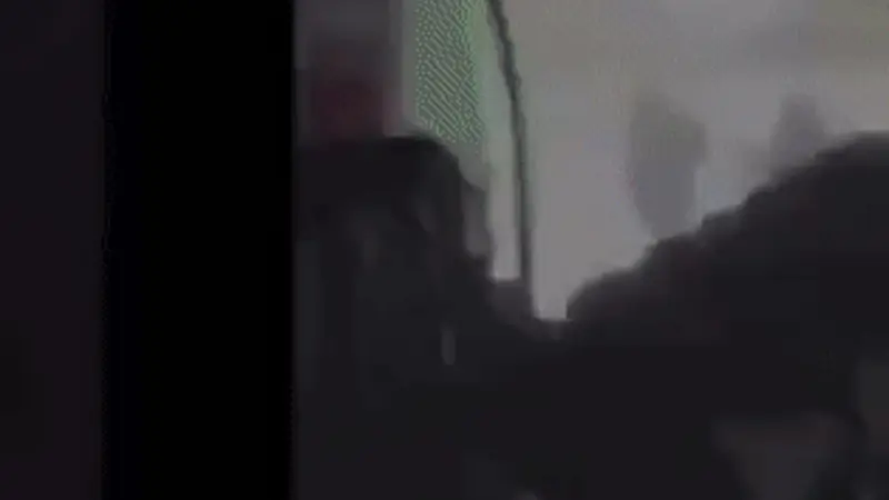 No description available