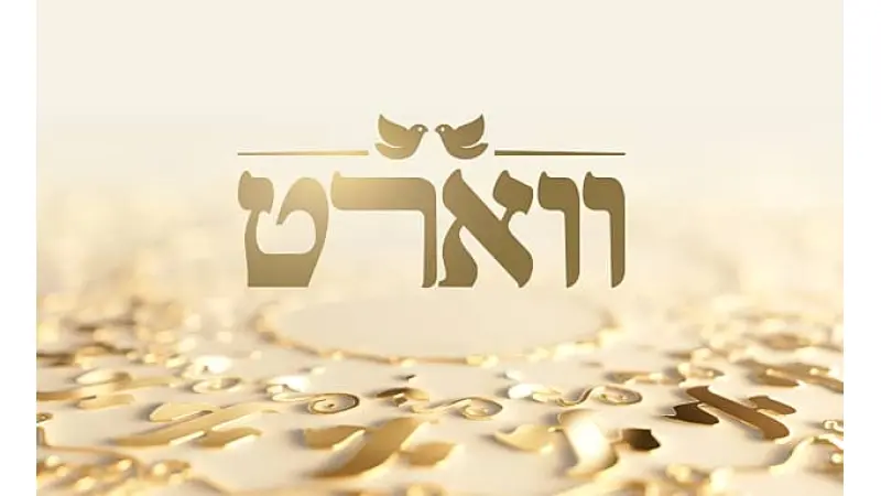 No description available