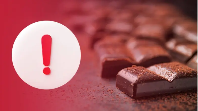 שוקולד (צילום freepik)