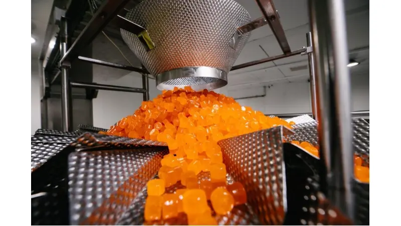 טופגאם (צילום טופגאם)