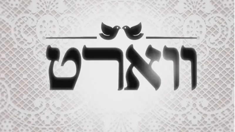 ווארט (צילום מסך רשת 13)