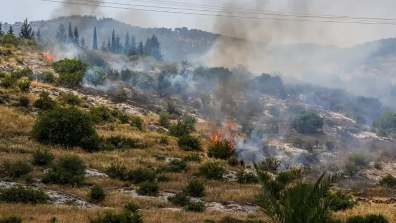 No description available